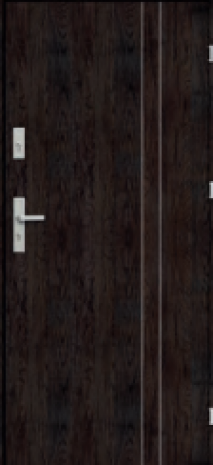 Drzwi Entrada Pro Set Alu 1