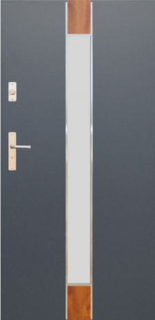DRZWI FUTURE INOX FI06A